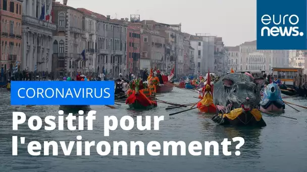 Covid-19 : la diminution des activités humaines profite à l'environnement