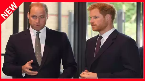 ✅  Le prince William autrefois si protecteur avec Harry : cette anecdote qui brise le coeur