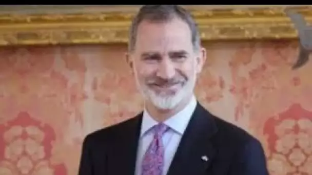 L'incroyable richesse du roi Felipe VI mise à nu : 2,5 millions d'euros, beaux-arts et antiquités