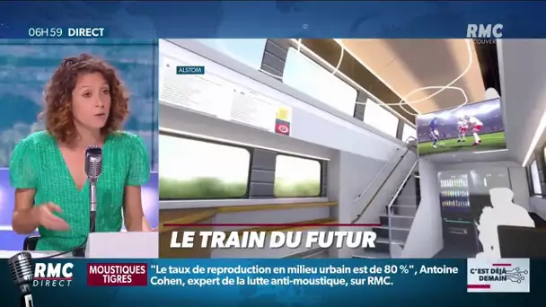 "TGV M": le train du futur, plus confortable, plus connecté, plus économique, plus écologique...