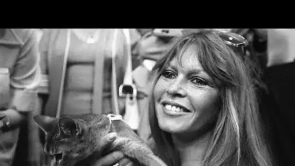 À Saint-Tropez, Brigitte Bardot salue «un hommage unique et extraordinaire» pour son anniversaire