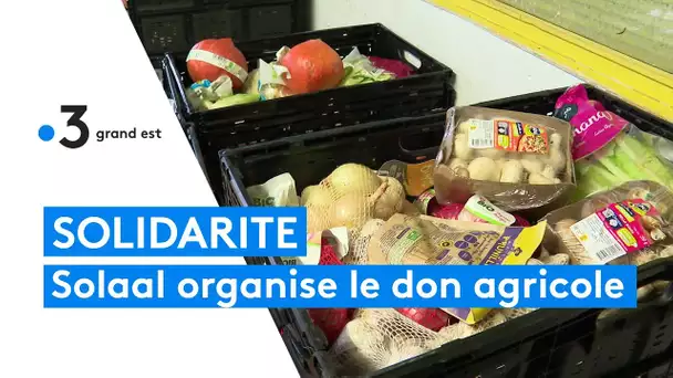 L'association Solaal organise le don agricole