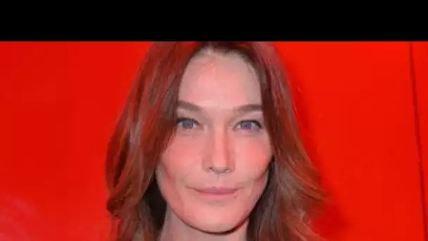 PHOTO Carla Bruni change de tête : la femme de Nicolas Sarkozy s'offre une nouvelle...