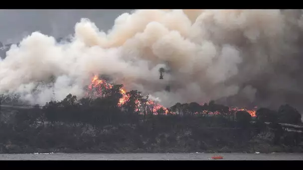 Bruno Ulliac, sur les incendies en Australie : "On est face à des feux d'une dimension sans précé…