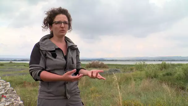 PrioriTerre au bord de l'étang de Bolmon à Marignane : Répartir l'espace entre l'homme et la nature