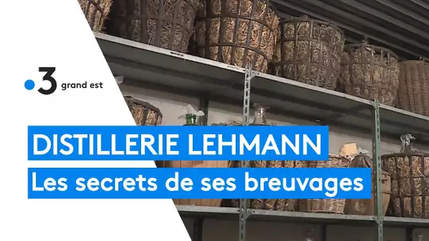 Les secrets des breuvages de la distillerie Lehmann à Obernai