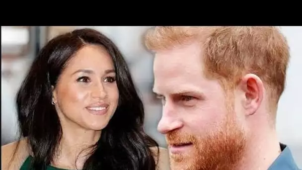 Le prince Harry et Meghan Markle ont été plus endommagés par Endgame que les membres de la famille