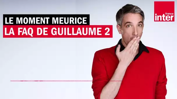 Comment supporter les sociaux-traîtres ? La FAQ de Guillaume Meurice ep. 2