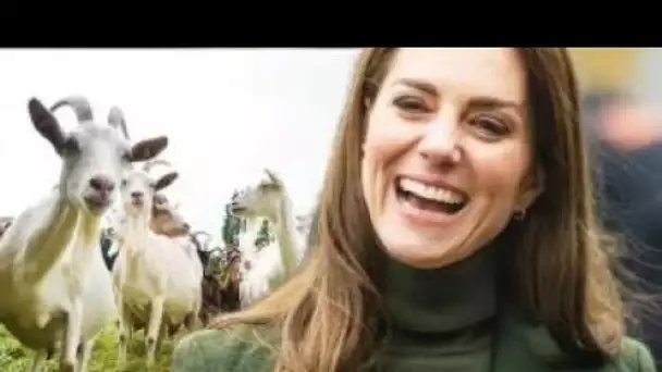Royal Family LIVE: Kate envoie des experts en ascendance dans la frénésie avec une affirmation bizar