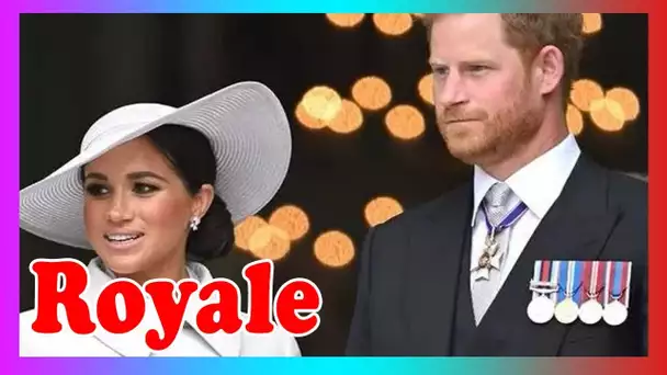 Meghan et le prince Harry ''ont décidé de faire profil bas'' et de sauter le déjeuner du palais