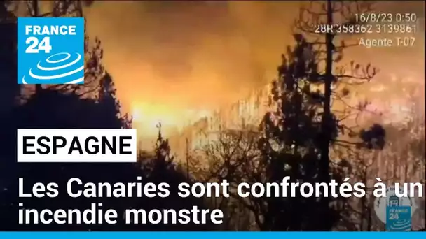 En Espagne, les Canaries affrontent l'incendie "le plus compliqué" des 40 dernières années