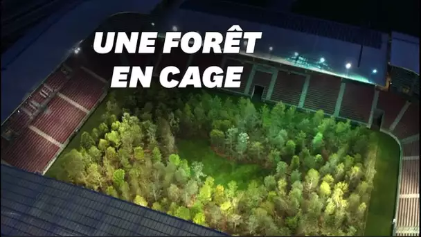 Cet artiste a créé une forêt de 300 arbres... dans un stade de foot