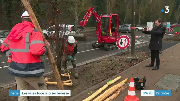 Remplacer le goudron de nos villes par la terre pour lutter contre la sécheresse