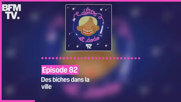 Episode 82 : Des biches dans la ville - Les dents et dodo