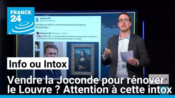 Vendre la Joconde pour rénover le Louvre ? Attention à cette intox • FRANCE 24