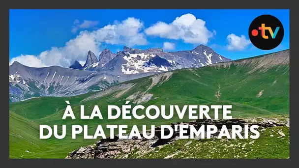 À la découverte des paysages exceptionnels du plateau d'Emparis, joyau naturel des Alpes