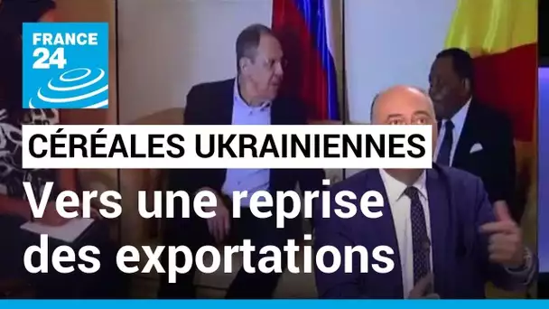 Céréales : l'Ukraine s'attend à de premières exportations "dès cette semaine" • FRANCE 24