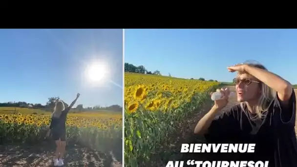 Privée de festivals, Angèle en improvise un... pour des tournesols