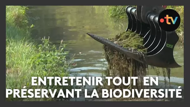 Entretenir les cours d'eau en préservant la biodiversité