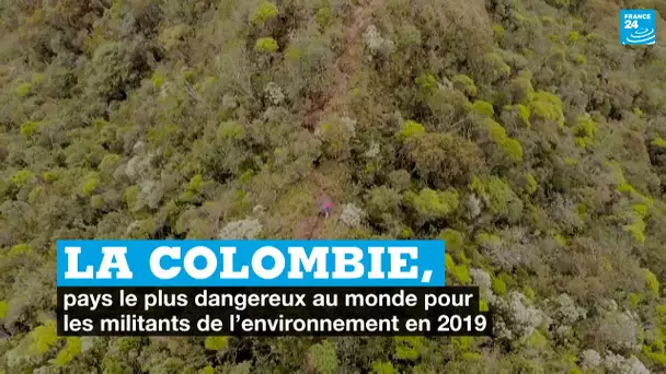 La Colombie, pays le plus dangereux pour les militants de l’environnement en 2019