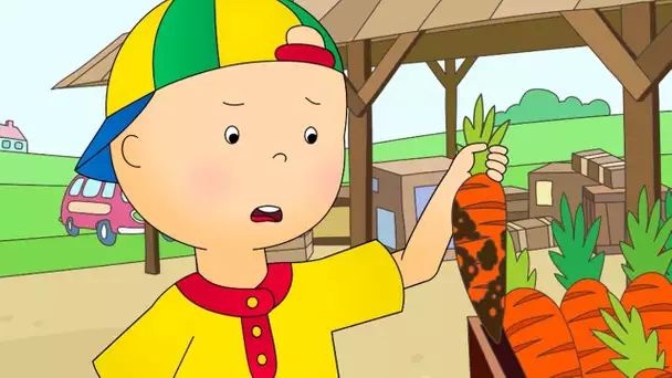 Caillou en Français | Caillou et les Carottes Boueuses | dessin animé en entier | NOUVEAU 2018