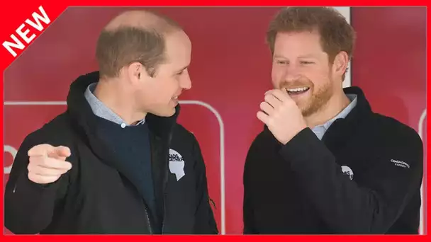 ✅  Le prince William toujours pas réconcilié avec Harry : cette preuve gênante