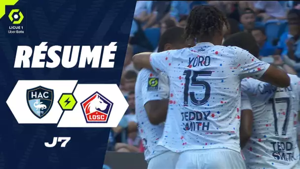 HAVRE AC - LOSC LILLE (0 - 2) - Résumé - (HAC - LOSC) / 2023-2024