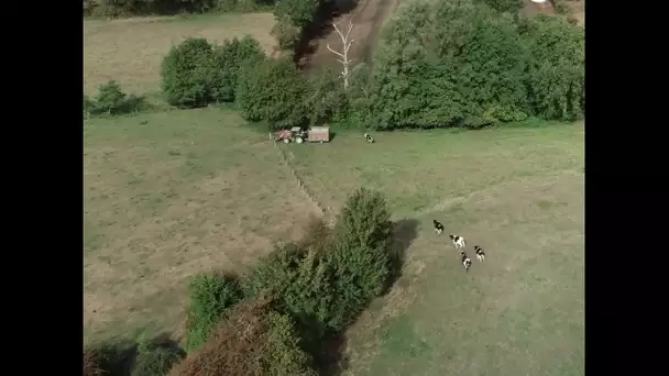 Vu du ciel : les paysages du Perche