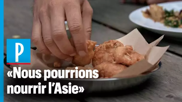 Du poulet artificiel pour la première fois servi dans des assiettes à Singapour