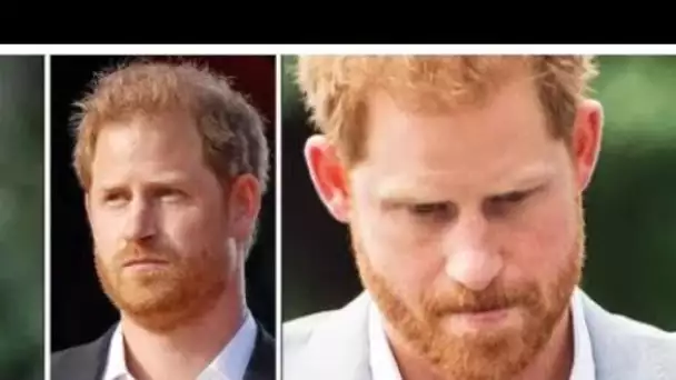 L'équipe juridique du prince Harry critiquée par un juge pour "preuves non pertinentes" devant le tr