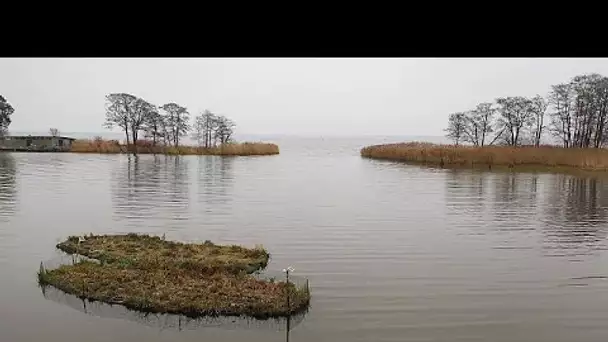 Trois pays du sud de la mer Baltique dépolluent leurs eaux grâce à des marais artificiels