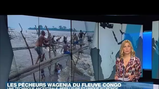 Les Wagenia, pêcheurs de l'extrême dans les rapides du fleuve Congo • FRANCE 24