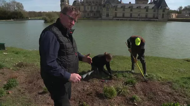 Les jardiniers du Domaine de Chantilly - Épisode 2 : le plan de gestion