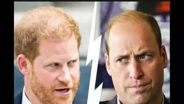 Le prince Harry préoccupé par un « risque sérieux pour la sécurité » après la fuite de la date de so