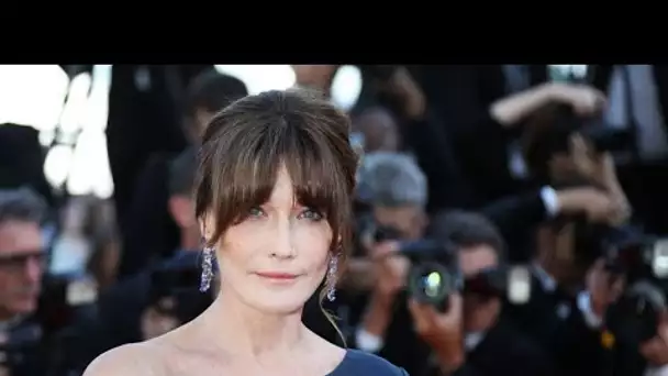 Carla Bruni anxieuse : elle évoque ses 14 années de psychothérapie