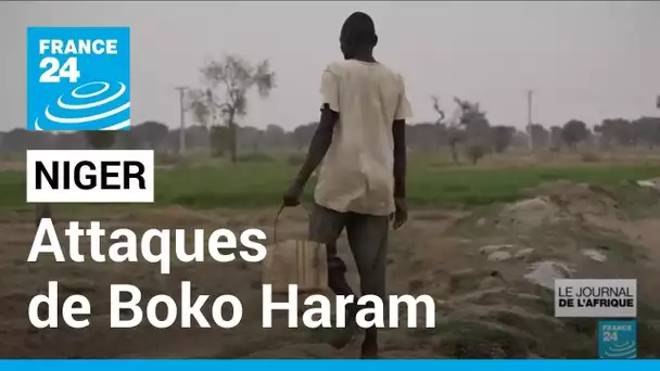 Attaques de Boko Haram au Niger : une résurgence attendue en milieu d'année • FRANCE 24