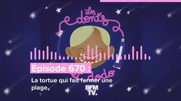 Les dents et dodo - “Épisode 670 : La tortue qui fait fermer une plage”