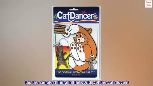 Cat Dancer 101 Cat Dancer Interactive Cat Toy