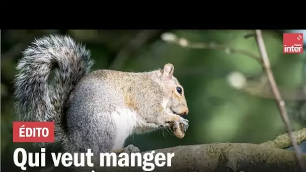 Qui veut manger des espèces invasives ?