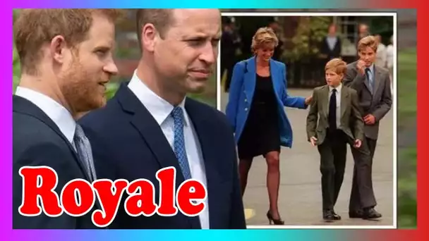 « S'unir pour maman ! » William et Harry ent3rrent la hache de guerre pour l'événement Diana