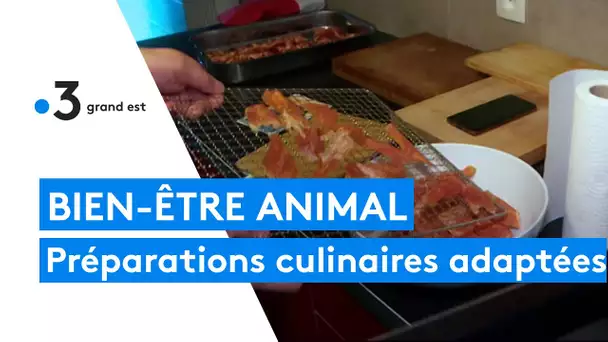 Davy Kwasny prépare et livre des repas pour votre animal de compagnie