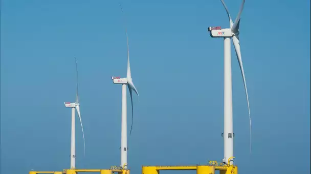 Plus performantes, moins visibles depuis les cotes : les éoliennes flottantes débarquent en France