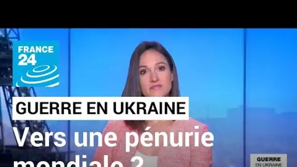 Pénurie de céréales ukrainiennes : la crainte d'une crise alimentaire mondiale ? • FRANCE 24