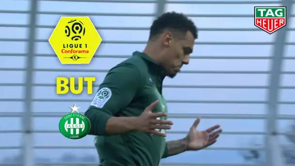 But Timothée KOLODZIEJCZAK (16') / Amiens SC - AS Saint-Etienne (2-2)  (ASC-ASSE)/ 2018-19