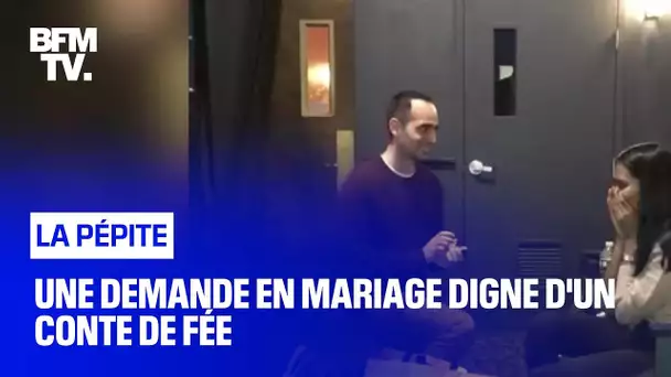 Une demande en mariage digne d'un conte de fée