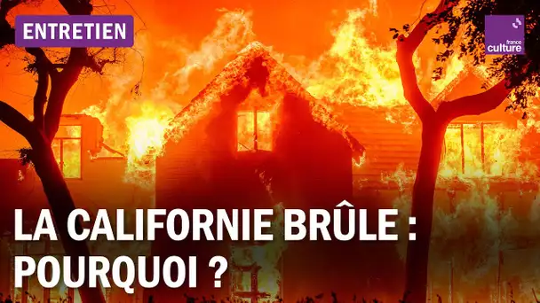 La Californie en flammes : comprendre les incendies historiques de 2025