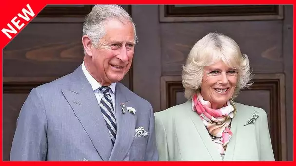 ✅  Le prince Charles régulièrement humilié par William devant Camilla : ces révélations gênantes