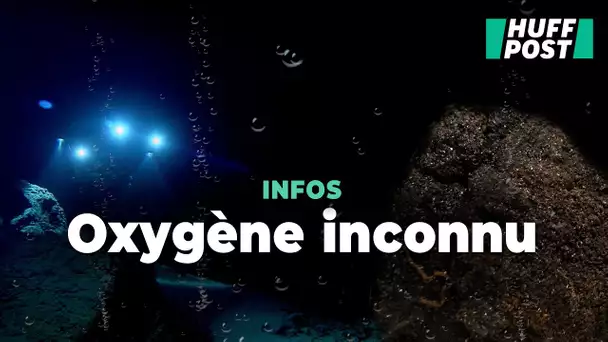 Quelque chose produit de l’oxygène au fond de l’océan, et on ne sait pas exactement ce que c’est