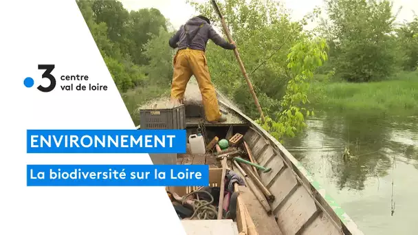 Rochecorbon : un pécheur professionnel nous parle de la biodiversité de la Loire
