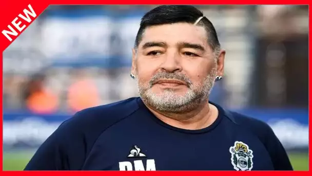 ✅  Le saviez-vous ? Diego Maradona a eu 8 enfants de 6 mères différentes